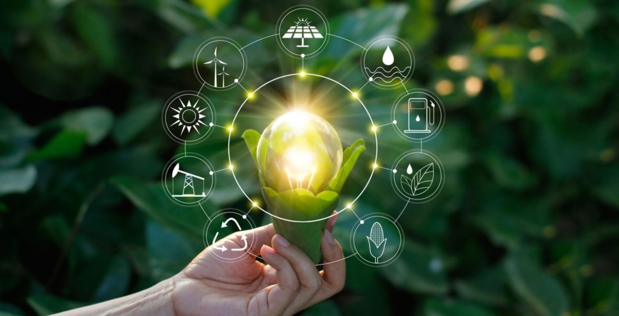 World Environment Day 2026: Sustainable Technology Habits That Actually Make a Difference